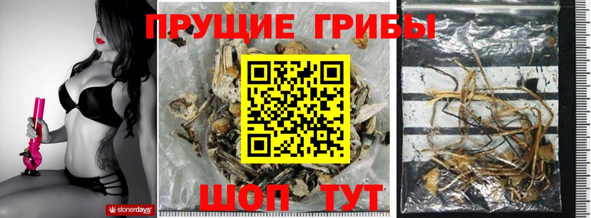 Псилоцибиновые грибы GOLDEN TEACHER Менделеевск