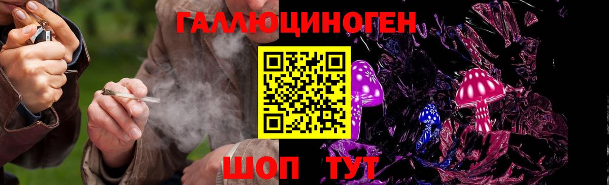 Псилоцибиновые грибы Psilocybine cubensis  купить наркотики сайты  Менделеевск  Галлюциногенные грибы Psilocybe  Вход с VPN 